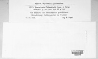 Image Associated With the Occurence